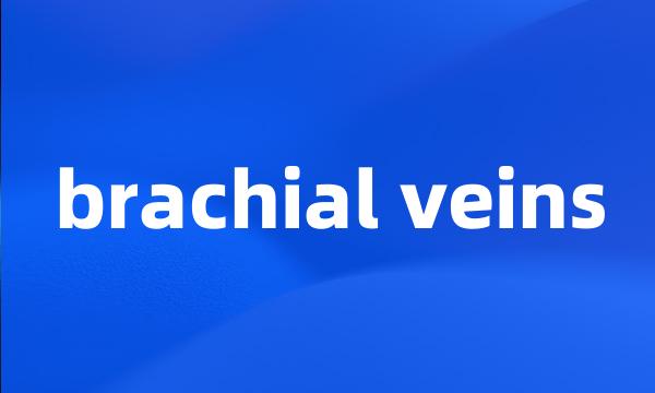 brachial veins