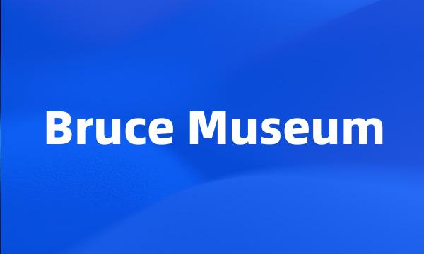 Bruce Museum