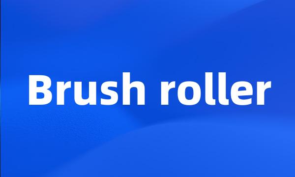 Brush roller