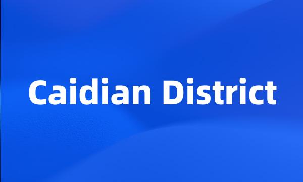 Caidian District