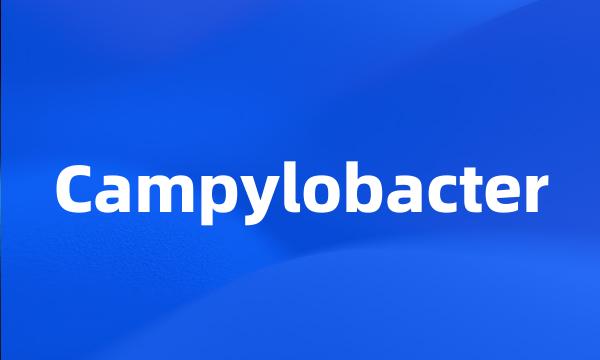 Campylobacter