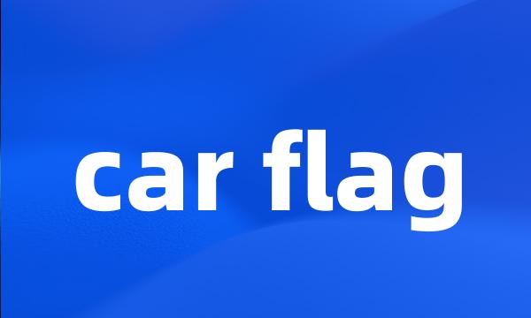 car flag