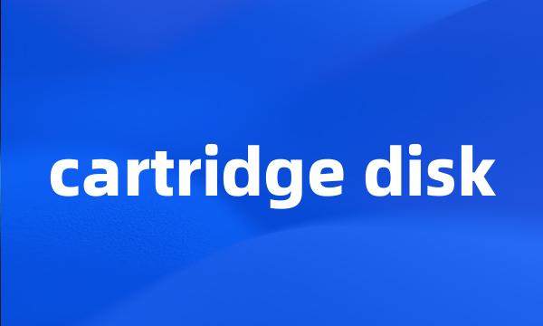 cartridge disk