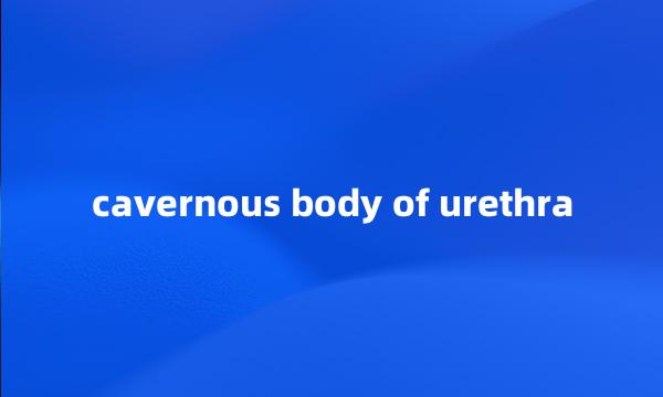 cavernous body of urethra