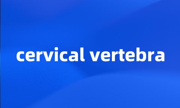 cervical vertebra