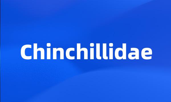 Chinchillidae