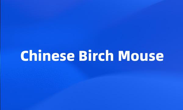 Chinese Birch Mouse