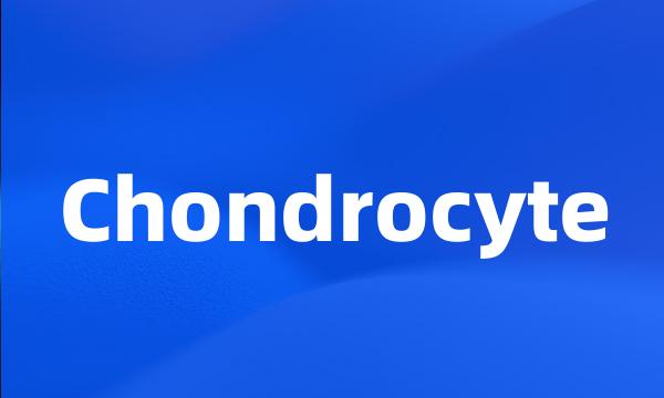 Chondrocyte