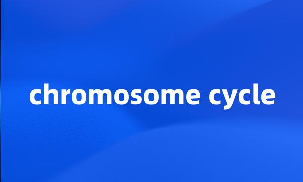 chromosome cycle