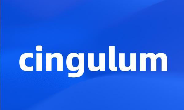 cingulum