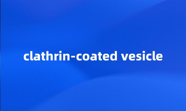 clathrin-coated vesicle