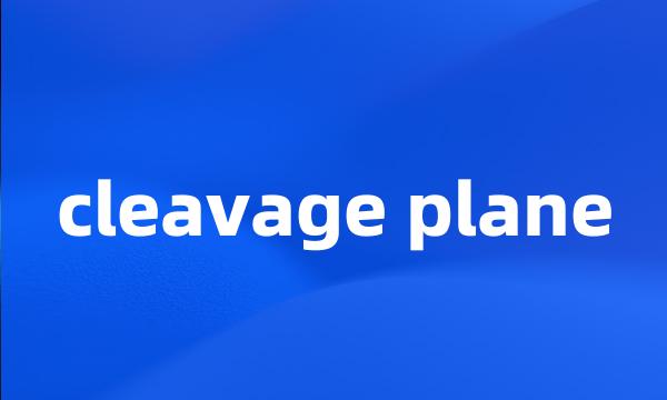 cleavage plane