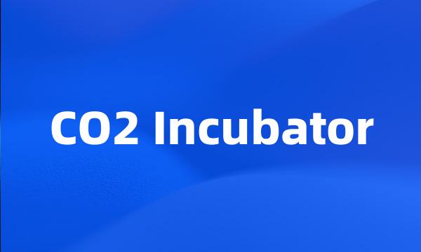 CO2 Incubator