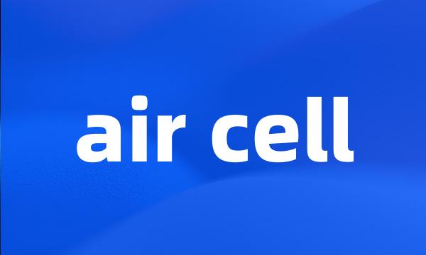 air cell