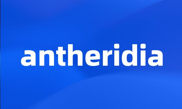 antheridia