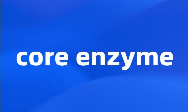 core enzyme