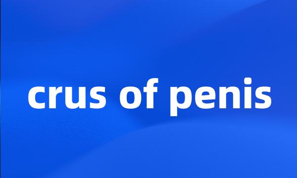 crus of penis