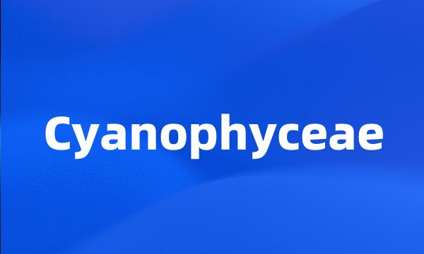 Cyanophyceae