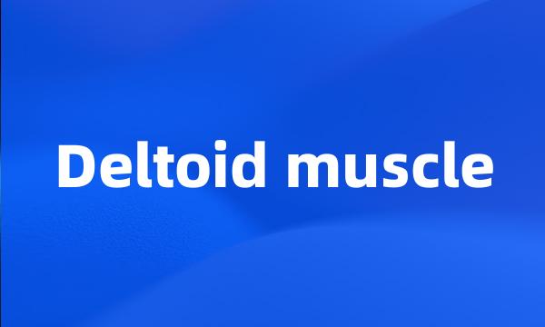 Deltoid muscle