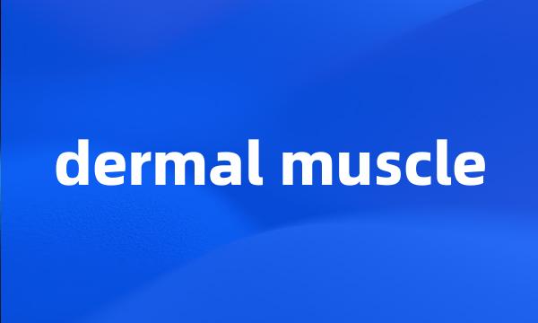 dermal muscle