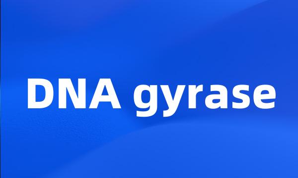 DNA gyrase