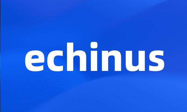 echinus