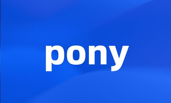 pony