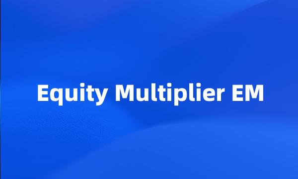 Equity Multiplier EM