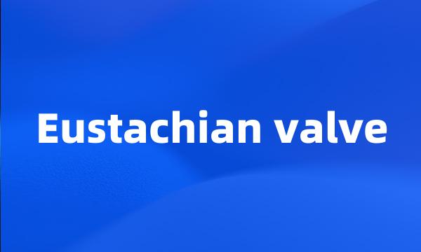 Eustachian valve