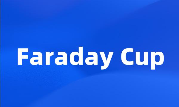 Faraday Cup