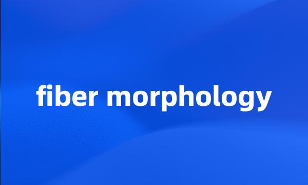 fiber morphology