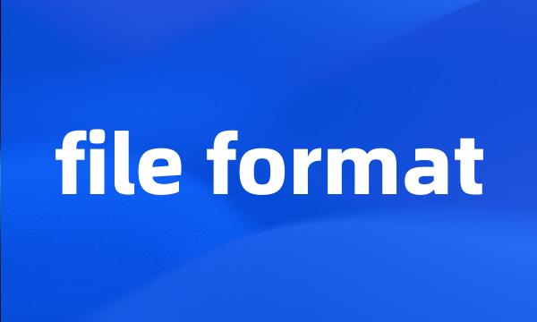 file format