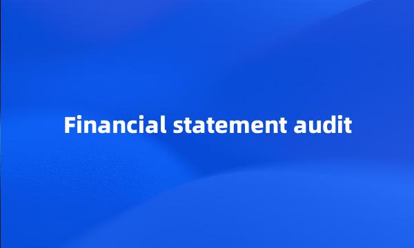 Financial statement audit