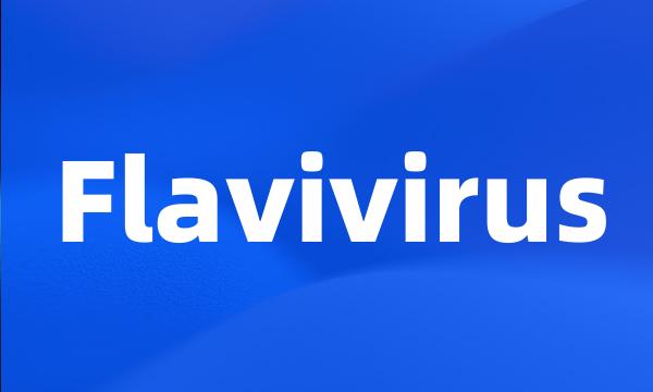 Flavivirus