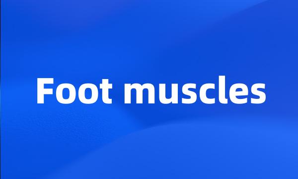 Foot muscles