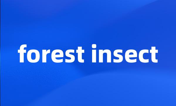 forest insect