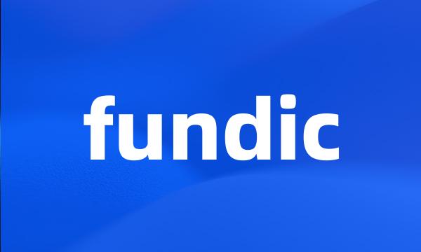 fundic