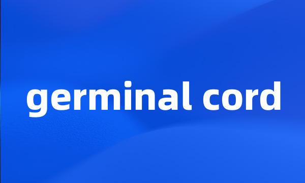 germinal cord