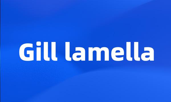 Gill lamella