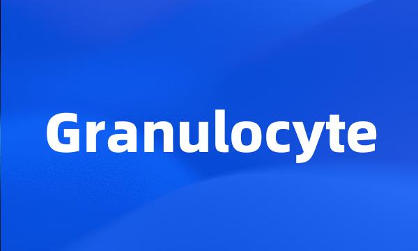 Granulocyte