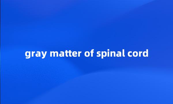 gray matter of spinal cord