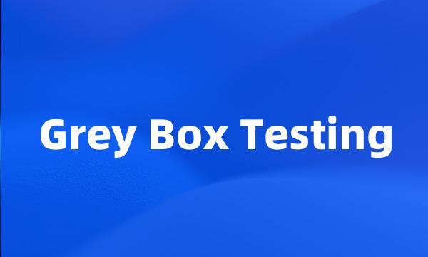 Grey Box Testing