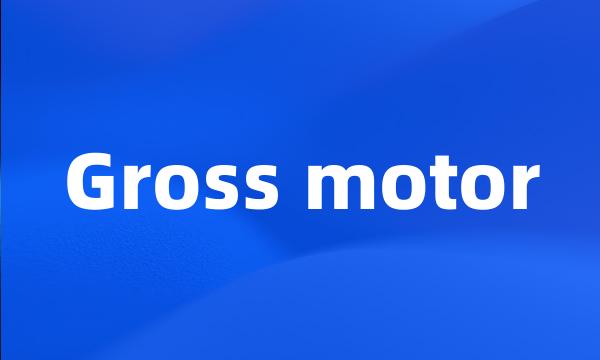 Gross motor