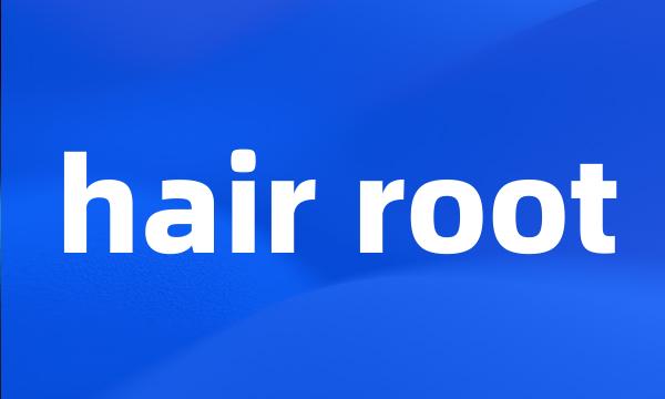 hair root