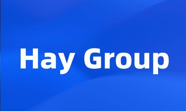 Hay Group