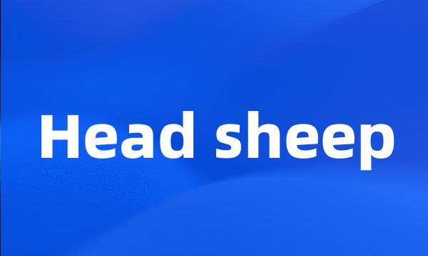 Head sheep