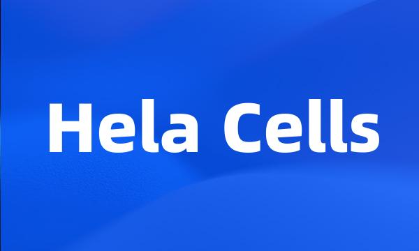 Hela Cells