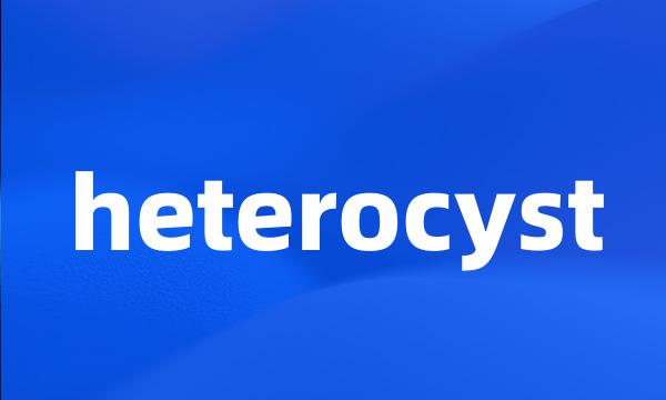 heterocyst