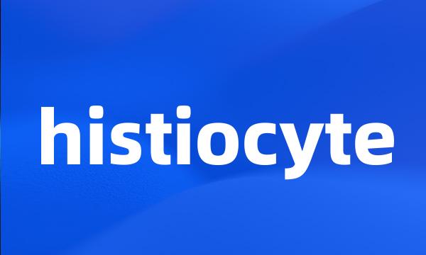 histiocyte