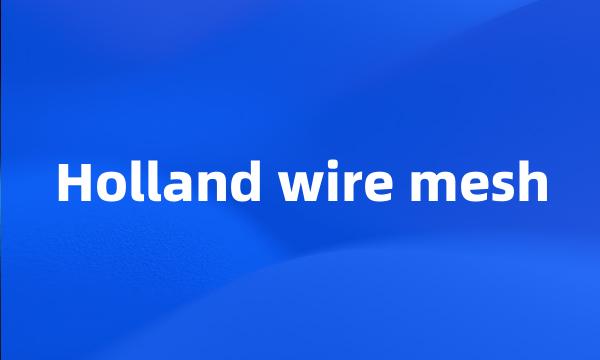 Holland wire mesh